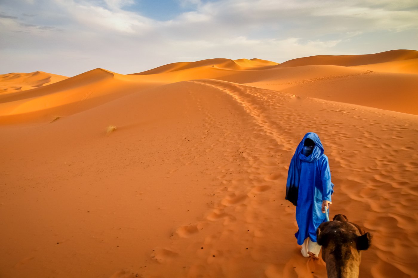 Berber leading a camel into the stunning sand dunes of Sahara desert in Merzouga, Morocco
