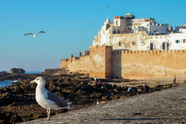 Essaouira