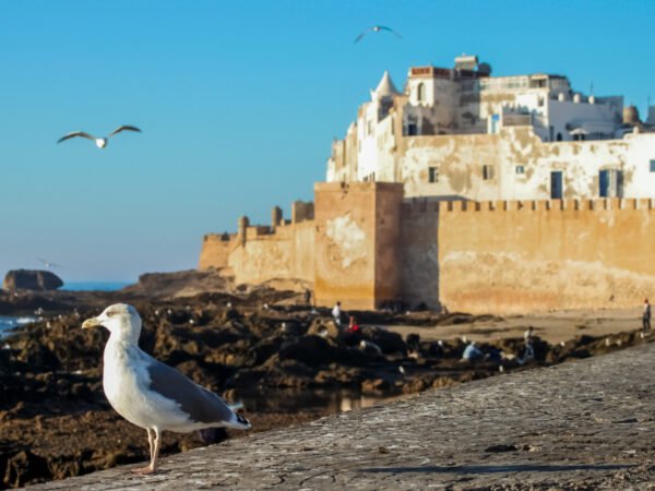 Essaouira