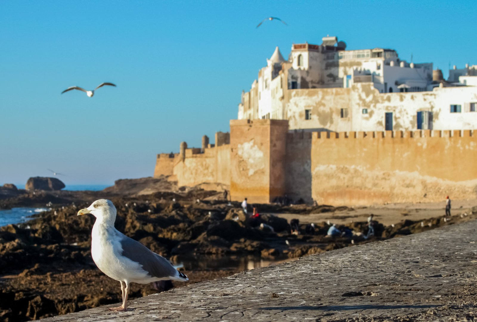 Beautiful old port City of Essaouira, Morocco, northern Africa