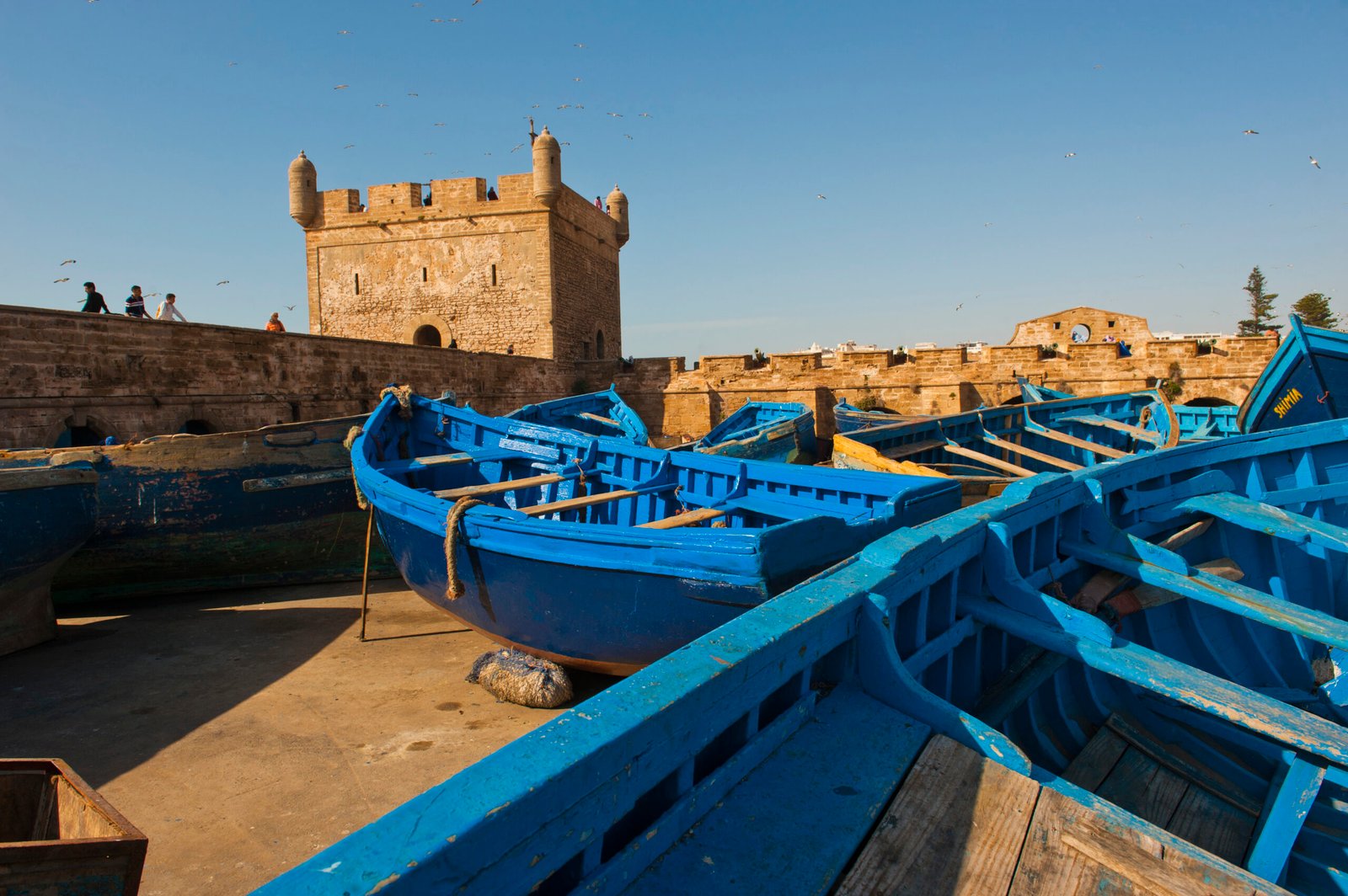 Blue fishing boats in Essaouira Port, formerly Mogador, Morocco, North Africa, Africa