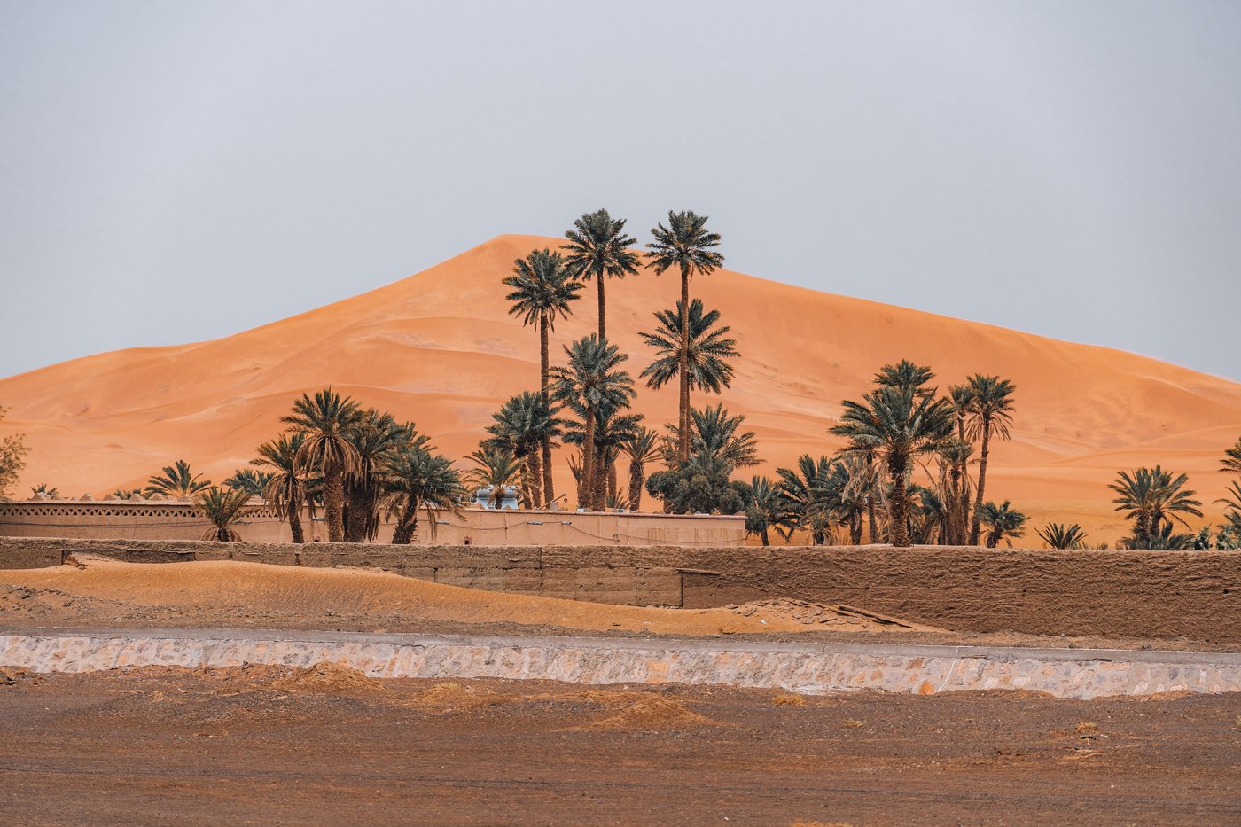 Houses and palm trees in front of the big Sahara Desert in Merzouga, Morocco. High quality photo